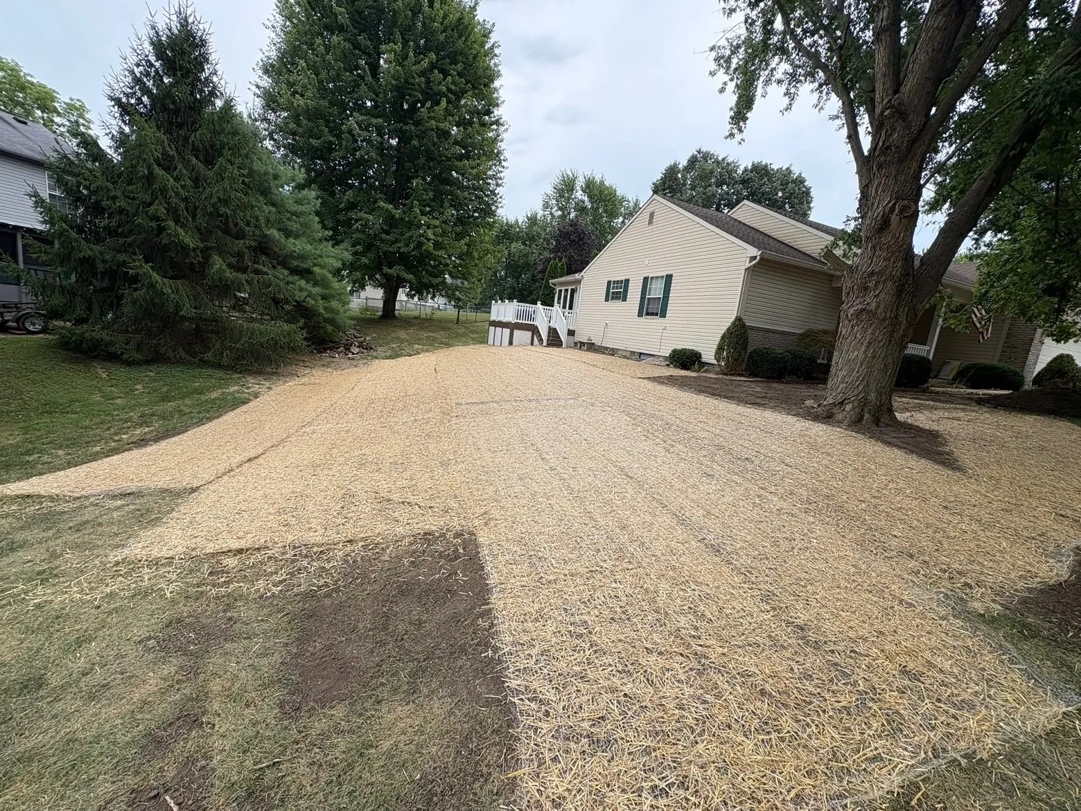 After: the same yard under new topsoil, seed and straw.