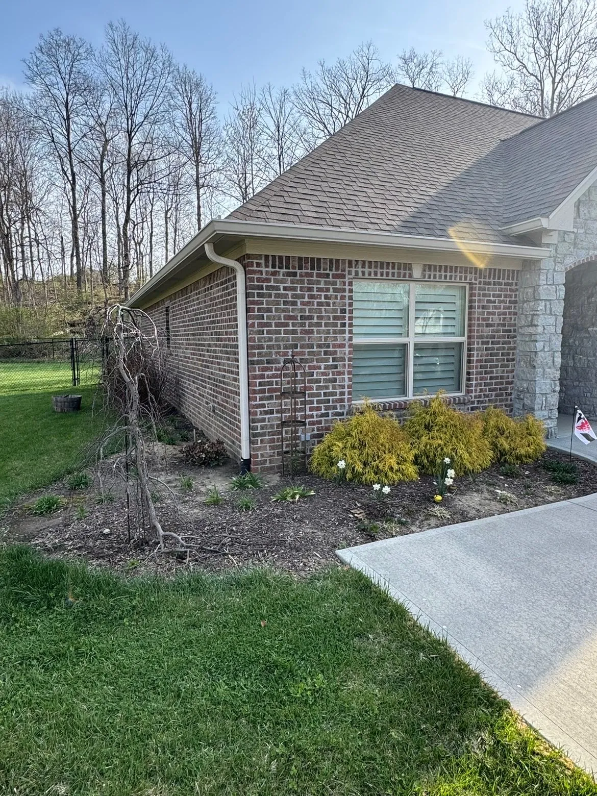 Before: an overgrown bed by the drive, a dead shrub standing in it.