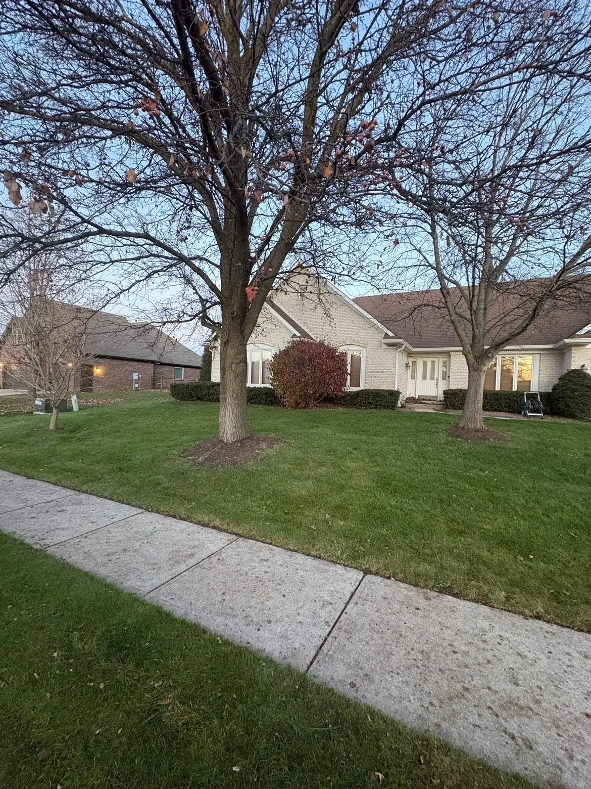 After: the same lawn cleared.