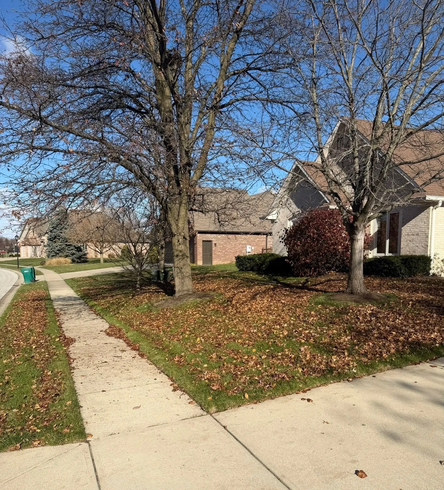 Before: a lawn along the sidewalk buried in leaves.